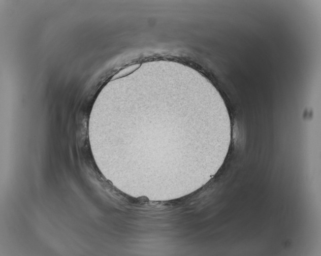 X0000111841492200909031650