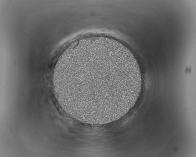 X0000111841494200909031651