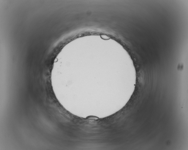 X0000111841495200909031651