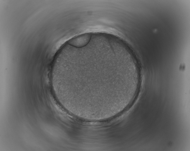 X0000111841497200909031651