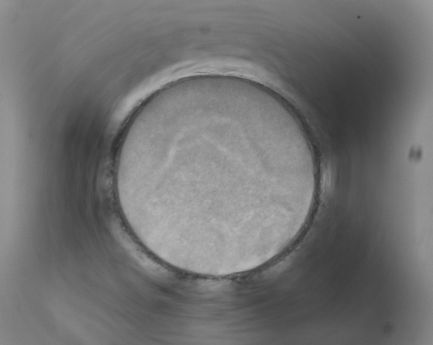 X0000111841498200909031651