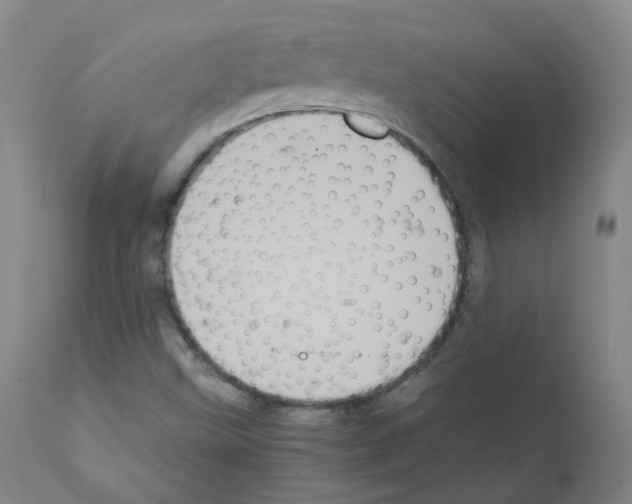 X0000111841499200909031651