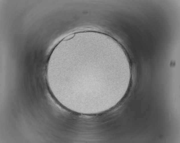 X0000111841500200909031651