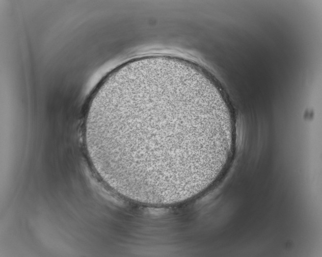 X0000111841501200909031651