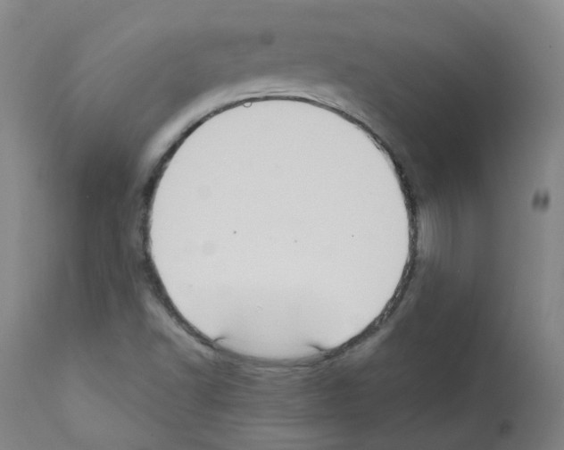 X0000111841502200909031651