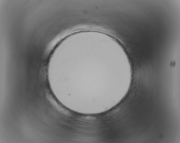 X0000111841503200909031651