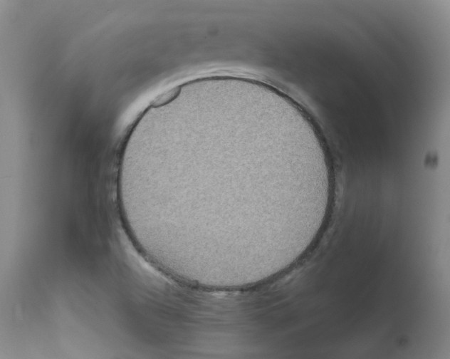 X0000111841504200909031651