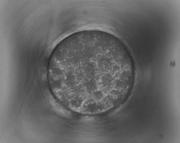 X0000111841505200909031651