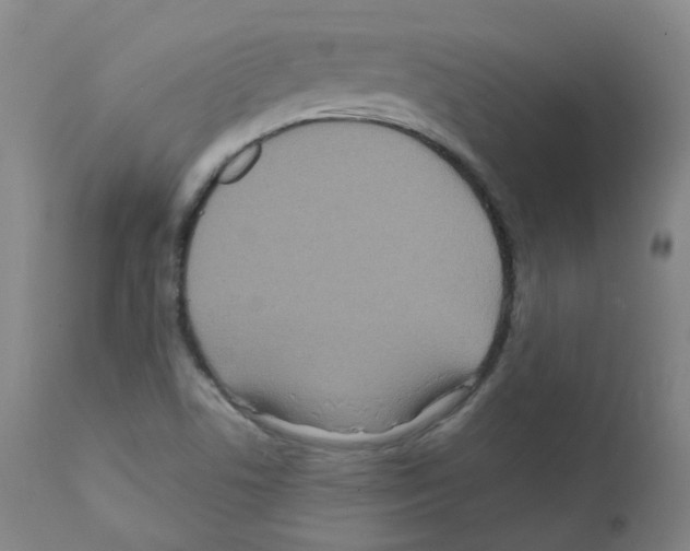 X0000111841506200909031651