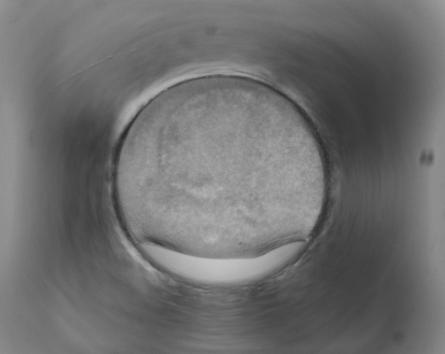 X0000111841508200909031651