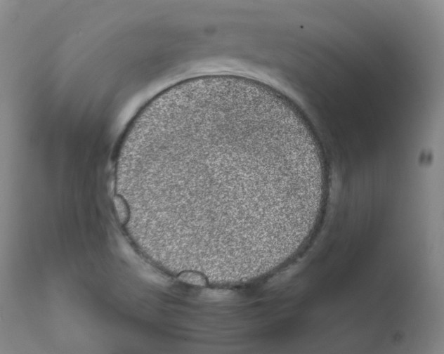 X0000111841509200909031651