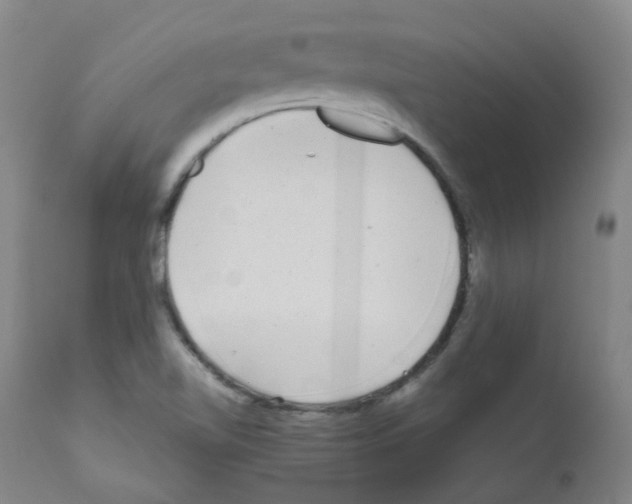 X0000111841510200909031651