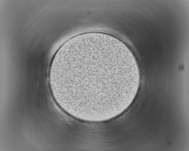 X0000111841512200909031651