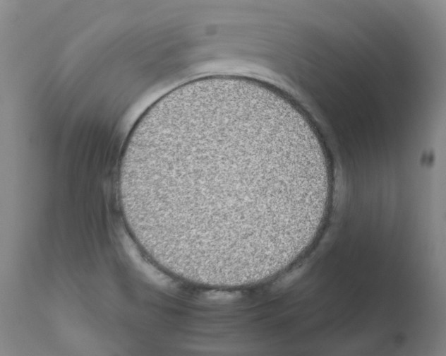 X0000111841513200909031651