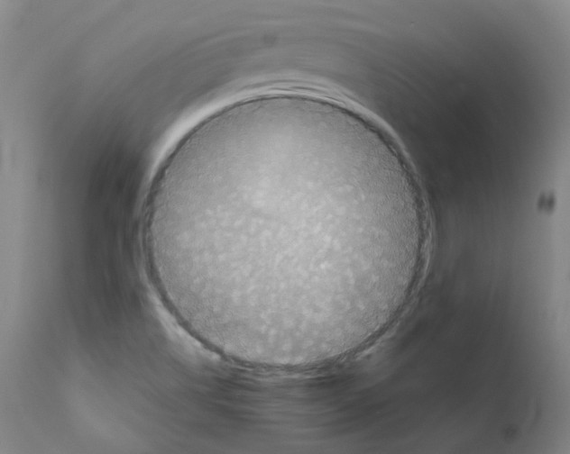 X0000111841514200909031651