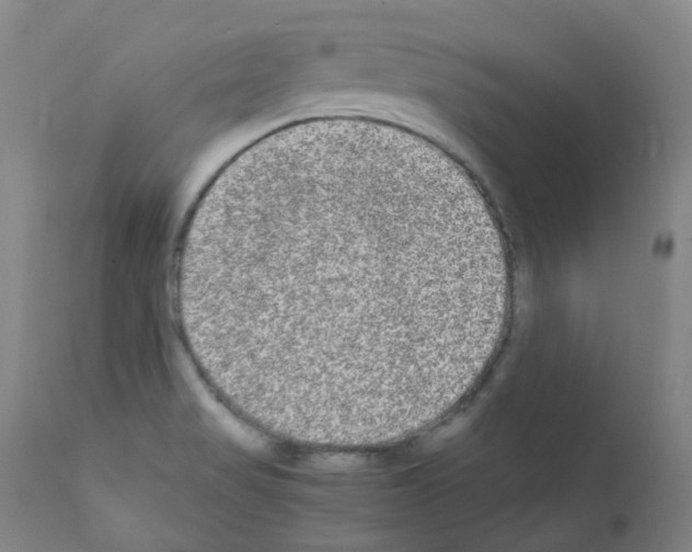 X0000111841517200909031651