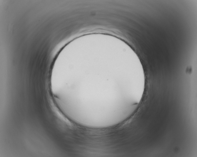 X0000111841518200909031651