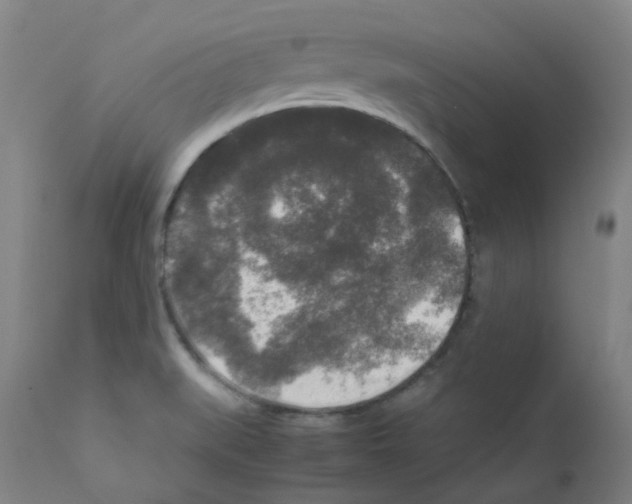 X0000111841519200909031651