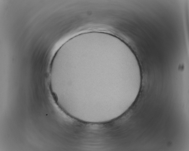 X0000111841520200909031651