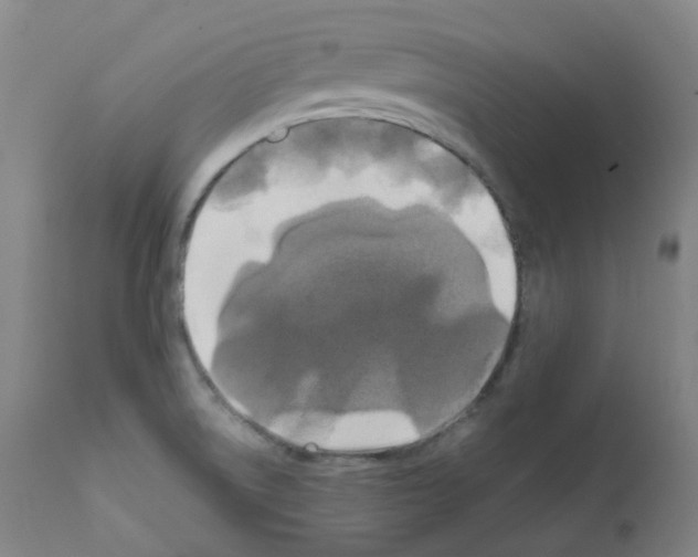 X0000111841522200909031651