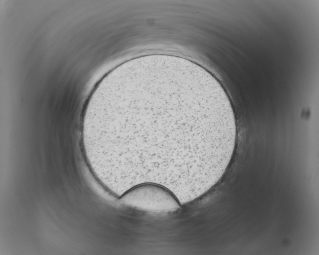 X0000111841523200909031651