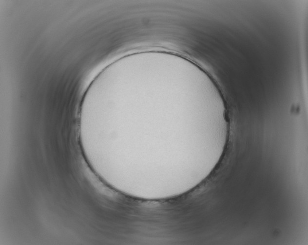 X0000111841524200909031651