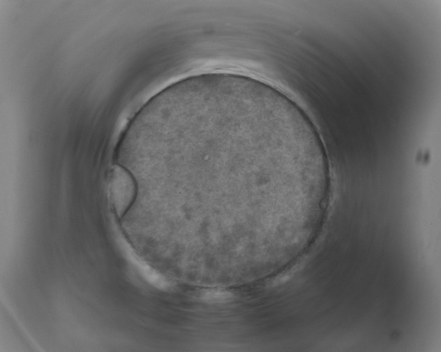 X0000111841525200909031651