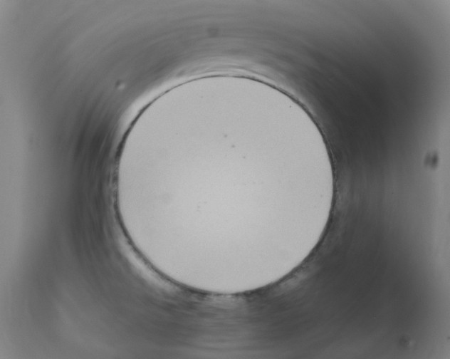 X0000111841526200909031651