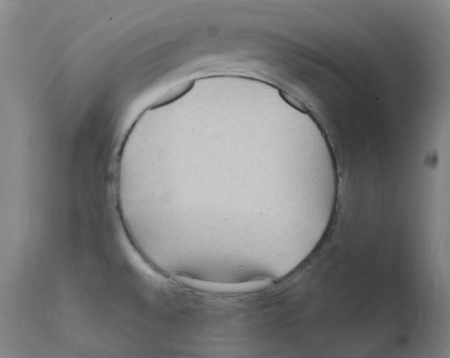 X0000111841528200909031651