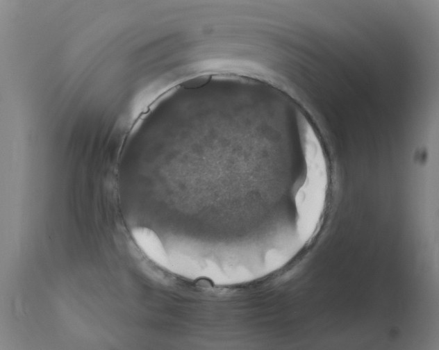 X0000111841529200909031651