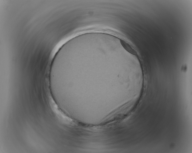 X0000111841530200909031651