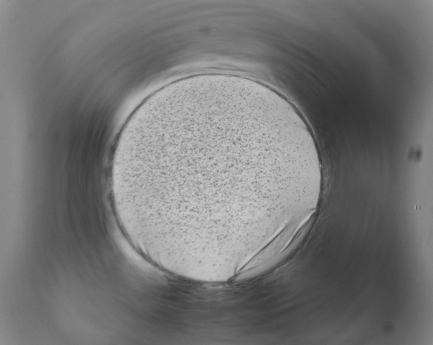 X0000111841531200909031651