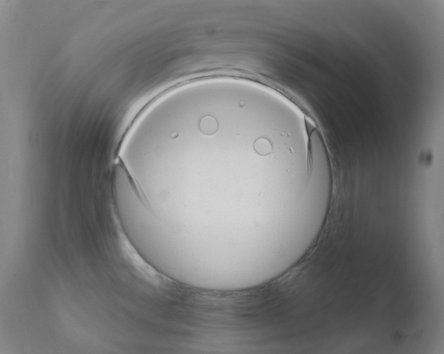 X0000111841532200909031651