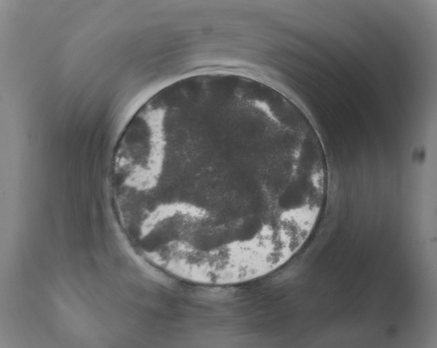 X0000111841533200909031651