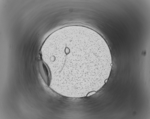 X0000111841534200909031651