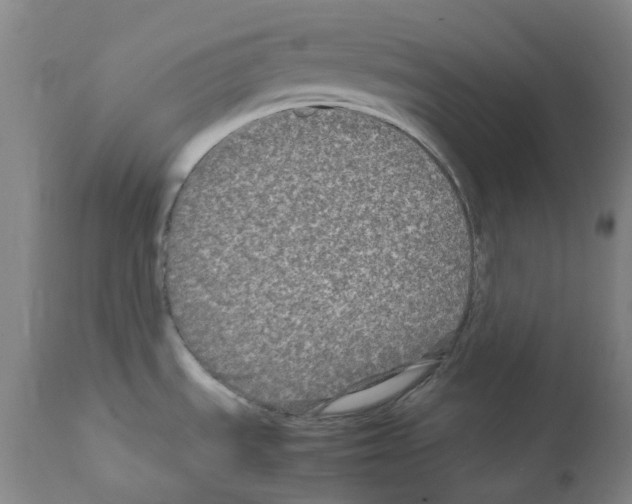 X0000111841535200909031651