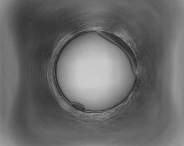 X0000111850001200907231109
