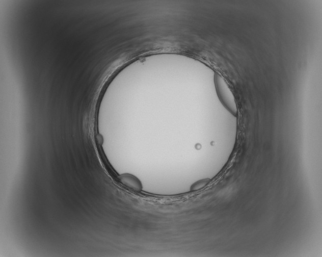 X0000111850003200907231109