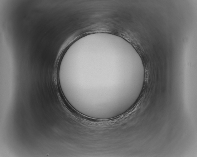 X0000111850004200907231109