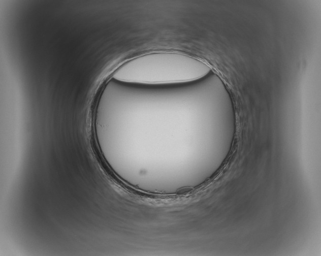 X0000111850005200907231109