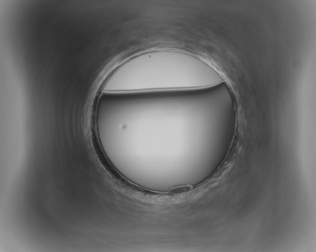 X0000111850007200907231109