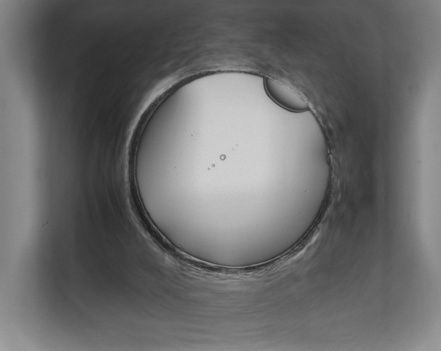 X0000111850008200907231109