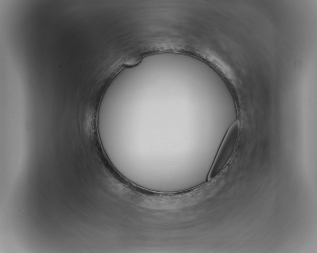 X0000111850009200907231109