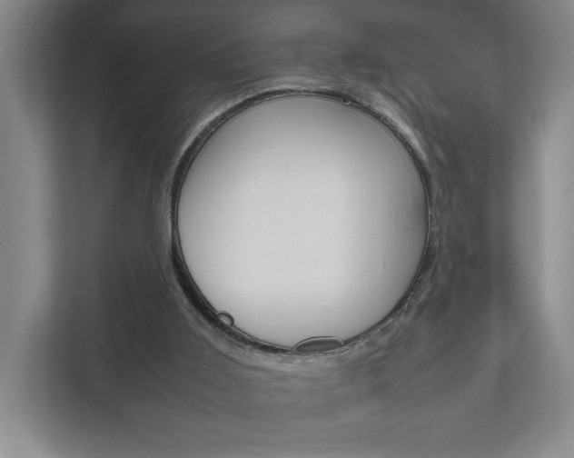 X0000111850011200907231109