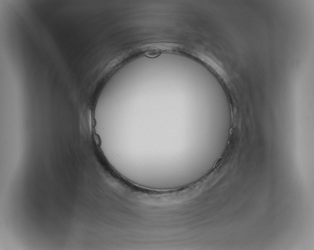 X0000111850013200907231109