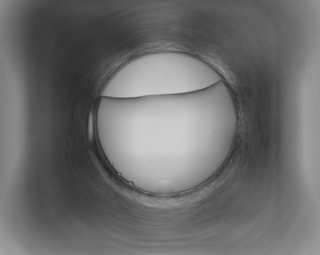 X0000111850014200907231109