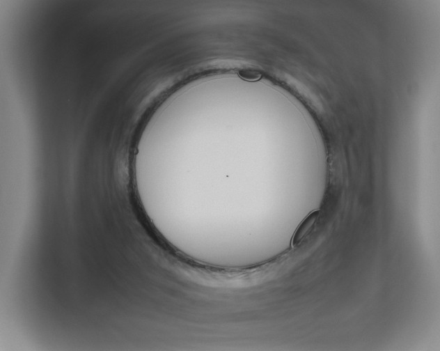 X0000111850015200907231109