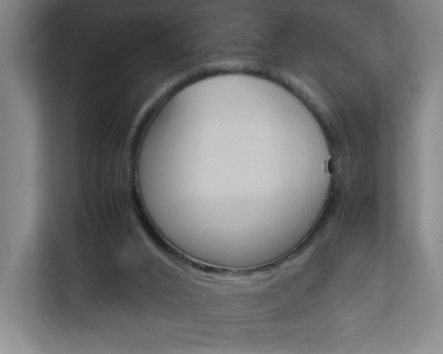 X0000111850016200907231109