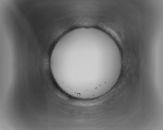 X0000111850017200907231109