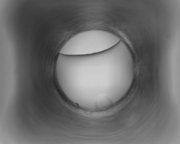 X0000111850018200907231109